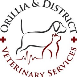 Orillia & District Veterinary Service