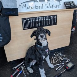 Motorized Solutions - Our shop dog Axle