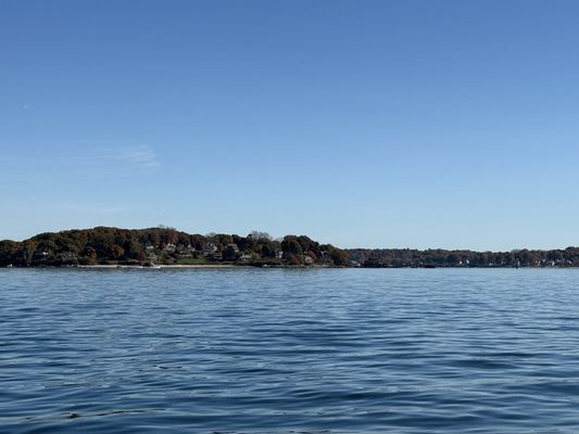 Lucky Catch Cruises by null