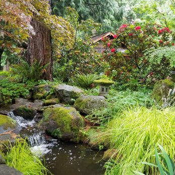 Bellevue Botanical Garden - Get lost in the gardens. - Botanical Gardens Near Me - Bellevue, Washington