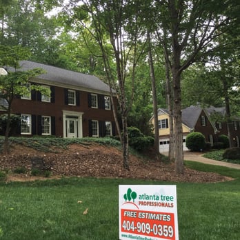 Atlanta Tree Professionals - Tree Services Near Me - Atlanta, Georgia