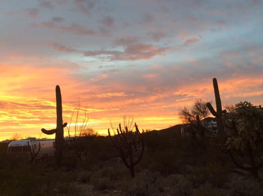 Gilbert Ray Campground by null