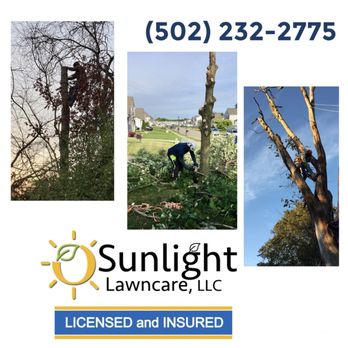 Sunlight Lawncare - Hazard Tree Removal
(502) 232-2775 - Landscaping Near Me Sunlight Lawncare - Hazard Tree Removal
(502) 232-2775 - Landscaping Near Me
