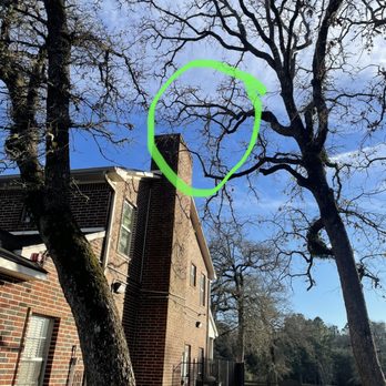 Conroe’s Best Tree Service - Removed limbs touching the building - Tree Services Near Me
