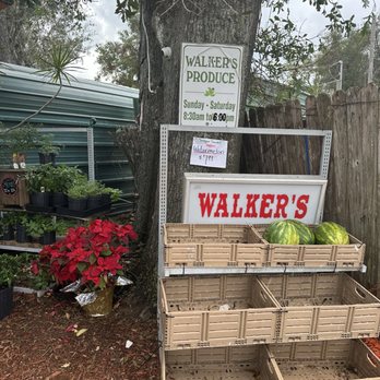 Walker's Produce - Fruits & Veggies Near Me - Bartow, Florida Walker's Produce - Fruits & Veggies Near Me - Bartow, Florida