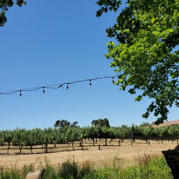 Fenestra Winery - outdoor tables/tastings during COVID. - Wineries Near Me - Livermore, California Fenestra Winery - outdoor tables/tastings during COVID. - Wineries Near Me - Livermore, California