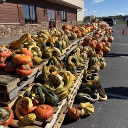 Sauders - Getting ready for fall !