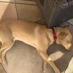 Barney the Barbarian in rare sleep mode!