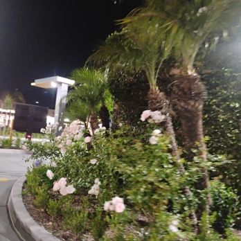 McDonald's - Fast Food Near Me - Arcadia, California