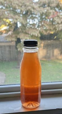 Vibrant Shore Brewing Company by null