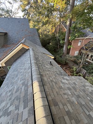 Blue Wing Roofing Logo