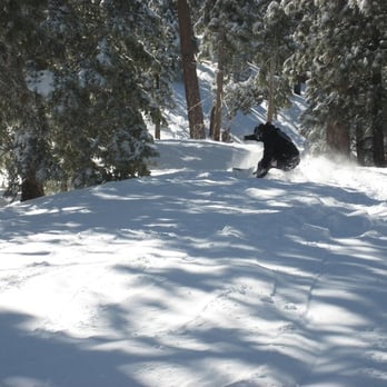 Mountain High Resort - wee ha... fresh pow pow - Ski Resorts Near Me - Wrightwood, California Mountain High Resort - wee ha... fresh pow pow - Ski Resorts Near Me - Wrightwood, California