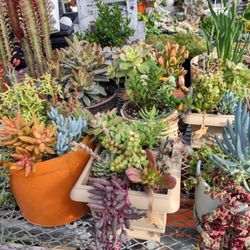 Poorman's Potting Shed