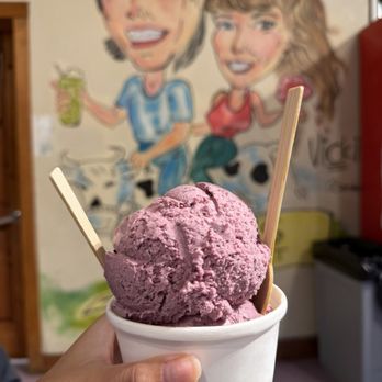 Moo's Gourmet Ice Cream - 2 scoops of huckleberry - Ice Cream & Frozen Yogurt Near Me - Jackson, Wyoming