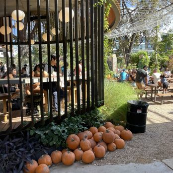 Cosmic Saltillo - Coffee & Tea Near Me - Austin, Texas