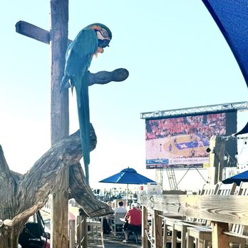 Marina Bar & Grill - Wine Bars Near Me - Miramar Beach, Florida Marina Bar & Grill - Wine Bars Near Me - Miramar Beach, Florida