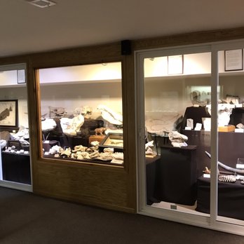 Dave's Down To Earth Rock Shop - Jewelry Near Me - Evanston, Illinois