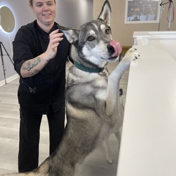 Luxe Pups - Riley and Koa - Pet Groomers Near Me - Chino, California