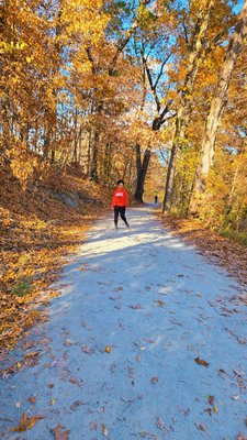 Rockefeller State Park Preserve by null