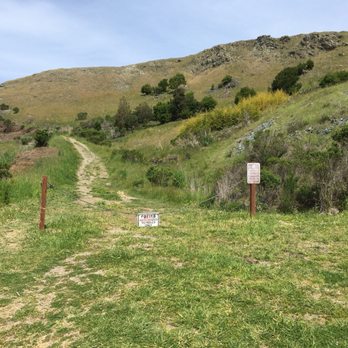 Hippie Tree - This is the entrance - Hiking Near Me - Tiburon, California