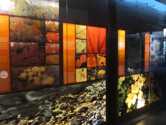 Siida - Sámi Museum and Nature Center by null