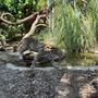 Photo of Zoo Sanary Bandol