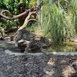 Zoo Sanary Bandol