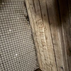 LA Fitness - Men's Sauna - Mold/Mildew/Spores/Bacteria