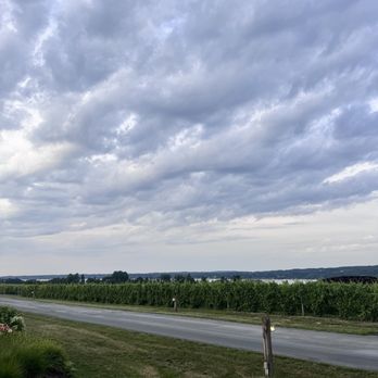 Anyela's Vineyards - View - Wineries Near Me - Skaneateles, New York