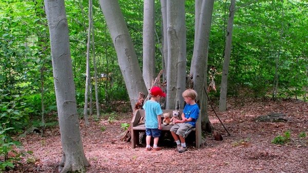 Mountain Top Arboretum by null