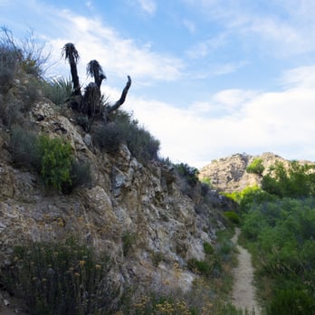 Big Morongo Canyon Preserve - Mesquite trail - Parks Near Me - Morongo Valley, California Big Morongo Canyon Preserve - Mesquite trail - Parks Near Me - Morongo Valley, California