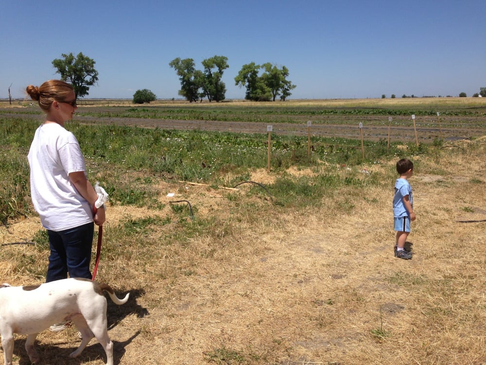 FEEDING CRANE FARMS Updated July 2024 71517299 E Levee Rd, Rio