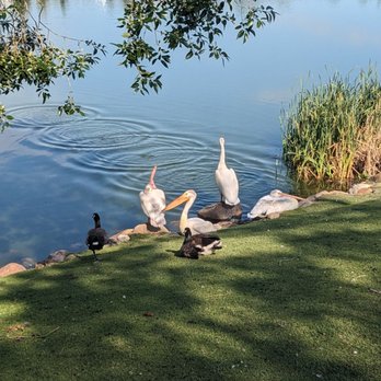 Beaumaris Lake - Lakes Near Me - Edmonton, Alberta Beaumaris Lake - Lakes Near Me - Edmonton, Alberta