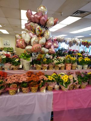 Albertsons by null