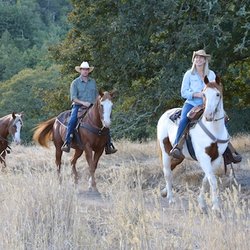 Triple Creek Horse Outfit