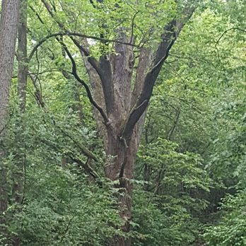 Red Oak Nature Center - Parks Near Me - Aurora, Illinois