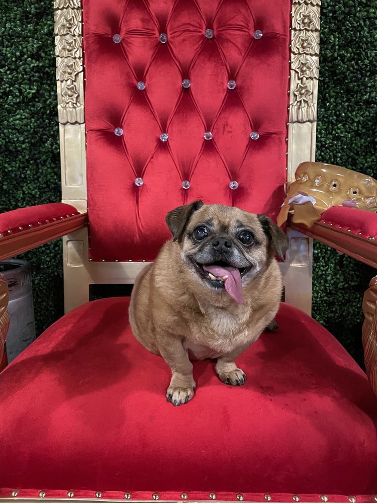 KINGS BEER & WINE 146 Photos & 159 Reviews 2811 N Central Ave