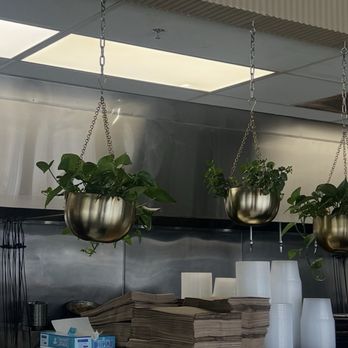 Pakwan Restaurant - Planted inside - Halal Near Me - San Francisco, California Pakwan Restaurant - Planted inside - Halal Near Me - San Francisco, California