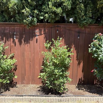 SKB Yard Care - Drip line - Gardeners Near Me SKB Yard Care - Drip line - Gardeners Near Me