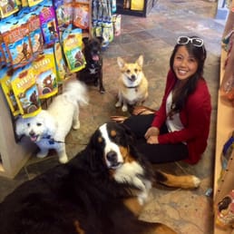 Crazy dog lady! Crazy dog lady!
