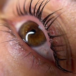 Harmony Studio Brows & Skincare - Lash lifting! So beautiful