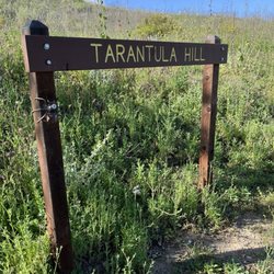 Tarantula Hill - Start of the paved trail