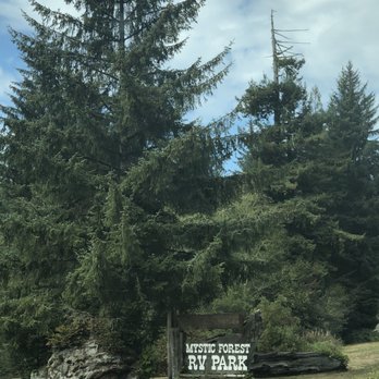 Mystic Forest RV Park - RV Parks Near Me - Klamath, California