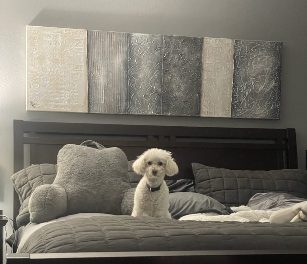 Aztec Animal Hospital - pet boarding facility in Scottsdale, AZ