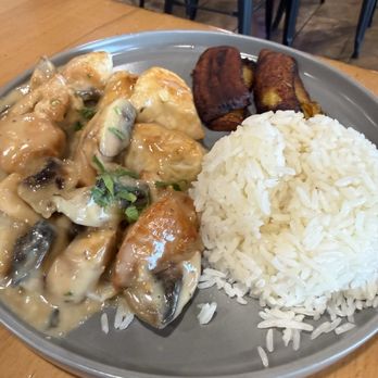 Maracaibo Bistro - Pollo en salsa champiñon - Venezuelan Near Me - Virginia Beach, Virginia Maracaibo Bistro - Pollo en salsa champiñon - Venezuelan Near Me - Virginia Beach, Virginia