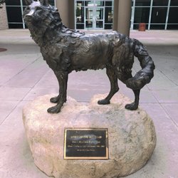 Scottsdale Public Library - Palomino - Sculpture