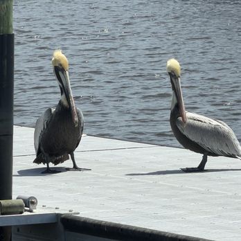 Dockside Seafood Restaurant - Seafood Near Me - Jacksonville Beach, Florida Dockside Seafood Restaurant - Seafood Near Me - Jacksonville Beach, Florida