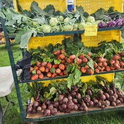 Southington Farmers Market