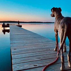Hopewell Riverwalk - Love this place at sunset!