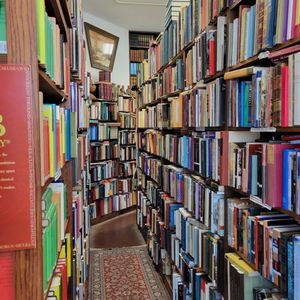 San Diego Gems: A (totally subjective) Guide for Visitors